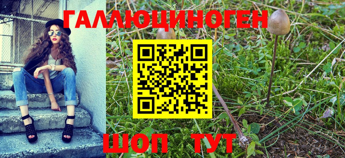 Псилоцибиновые грибы Magic Shrooms  Галлюциногенные грибы ЛСД  Радужный  Вход с VPN 